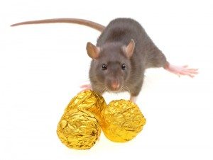 link bait seo techniques include link baiting