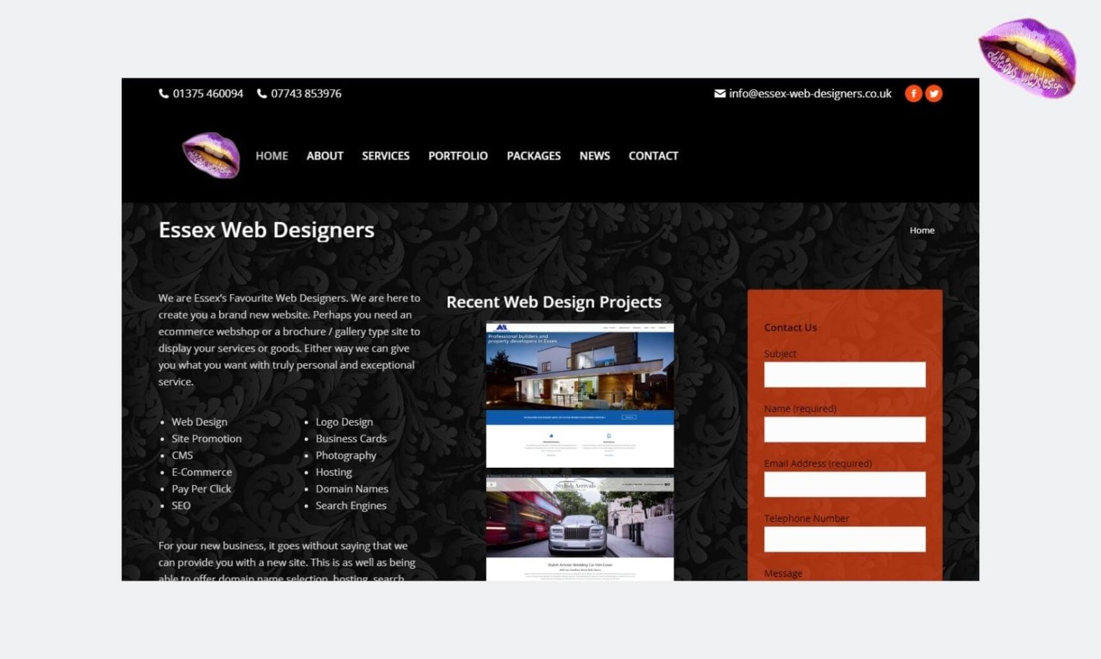 essex web designers 01