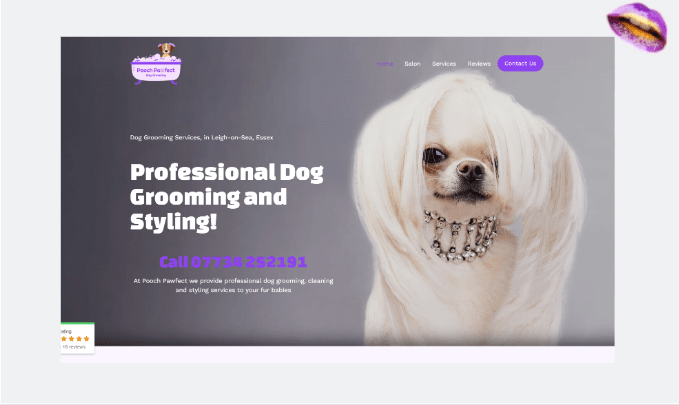 pooch pawfect delicious portfolio