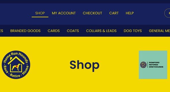 home run hounds shop
